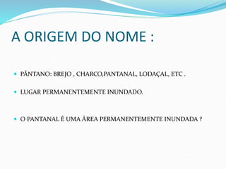 A ORIGEM DO NOME :
 PÂNTANO: BREJO , CHARCO,PANTANAL, LODAÇAL, ETC .
 LUGAR PERMANENTEMENTE INUNDADO.
 O PANTANAL É UMA ÁREA PERMANENTEMENTE INUNDADA ?
 