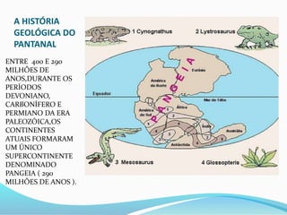 A HISTÓRIA
GEOLÓGICA DO
PANTANAL
ENTRE 400 E 290
MILHÕES DE
ANOS,DURANTE OS
PERÍODOS
DEVONIANO,
CARBONÍFERO E
PERMIANO DA ERA
PALEOZÓICA,OS
CONTINENTES
ATUAIS FORMARAM
UM ÚNICO
SUPERCONTINENTE
DENOMINADO
PANGEIA ( 290
MILHÕES DE ANOS ).
 