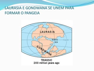 LAURASIA E GONDWANA SE UNEM PARA
FORMAR O PANGEIA
 