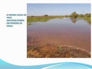 O MESMO LOCAL DA
FOTO
ANTERIOR,PORÉM
EM PERÍODO DE
CHEIA.
 
