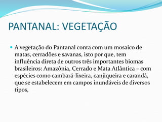 PANTANAL: VEGETAÇÃO
 A vegetação do Pantanal conta com um mosaico de
matas, cerradões e savanas, isto por que, tem
influência direta de outros três importantes biomas
brasileiros: Amazônia, Cerrado e Mata Atlântica – com
espécies como cambará-lixeira, canjiqueira e carandá,
que se estabelecem em campos inundáveis de diversos
tipos,
 