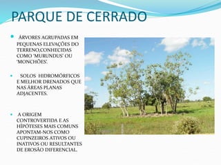 PARQUE DE CERRADO
 ÁRVORES AGRUPADAS EM
PEQUENAS ELEVAÇÕES DO
TERRENO,CONHECIDAS
COMO ‘MURUNDUS’ OU
‘MONCHÕES’.
 SOLOS HIDROMÓRFICOS
E MELHOR DRENADOS QUE
NAS ÁREAS PLANAS
ADJACENTES.
 A ORIGEM
CONTROVERTIDA E AS
HÍPÓTESES MAIS COMUNS
APONTAM-NOS COMO
CUPINZEIROS ATIVOS OU
INATIVOS OU RESULTANTES
DE EROSÃO DIFERENCIAL.
 