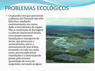 PROBLEMAS ECOLÓGICOS
 Os grandes rios que percorrem
a planície do Pantanal não têm
leito fixo, mudando
continuamente seu curso,
dada a total planura da região.
Mas a construção de barragens
e o desvio intencional desses
rios causam enormes
inundações e transporte de
terras, que provocam o
assoreamento, isto é, o
aterramento de seus leitos,
tornando-os cada vez mais
rasos, provocando novas
inundações e a destruição de
peixes pela enorme
quantidade de terra em
suspensão, turvando as águas.
 