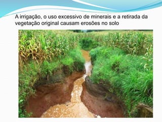 A irrigação, o uso excessivo de minerais e a retirada da
vegetação original causam erosões no solo
 