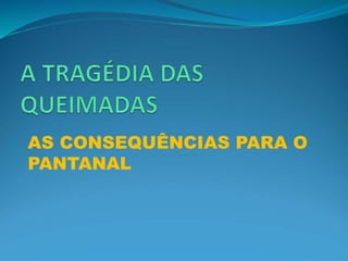 AS CONSEQUÊNCIAS PARA O
PANTANAL
 