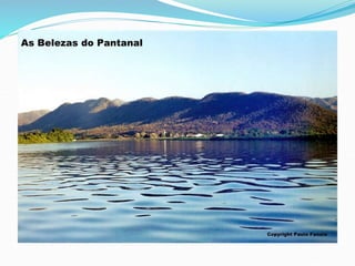 Geografia do Pantanal