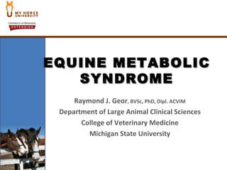 Equine Metabolic Syndrome (Geor)