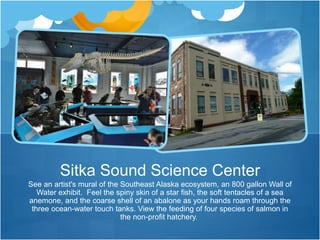 See an artist's mural of the Southeast Alaska ecosystem, an 800 gallon Wall of
Water exhibit. Feel the spiny skin of a star fish, the soft tentacles of a sea
anemone, and the coarse shell of an abalone as your hands roam through the
three ocean-water touch tanks. View the feeding of four species of salmon in
the non-profit hatchery.
Sitka Sound Science Center
 