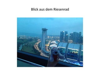Blick aus dem Riesenrad

 