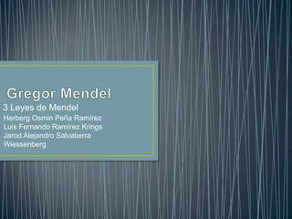 3 Leyes de Mendel
Herberg Osmin Peña Ramírez
Luis Fernando Ramírez Krings
Jarod Alejandro Salvatierra
Wiessenberg
 