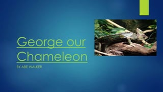 George our
Chameleon
BY ABE WALKER

 