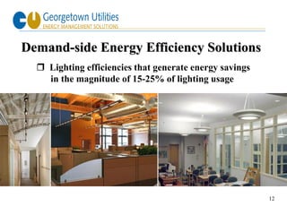 Demand-side Energy Efficiency Solutions
   Lighting efficiencies that generate energy savings
    in the magnitude of 15-25% of lighting usage




                                                         12
 