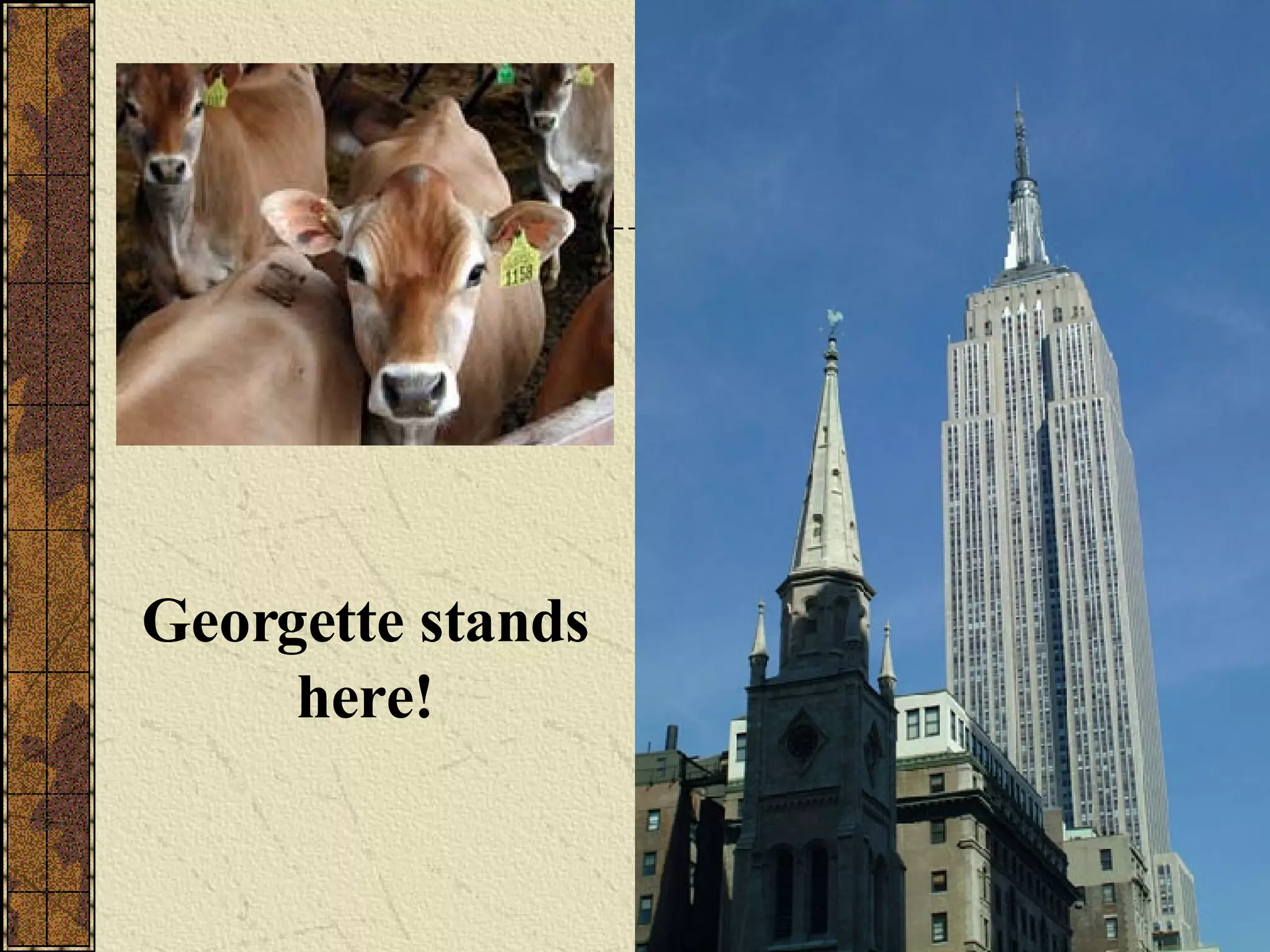 Georgette stands here!