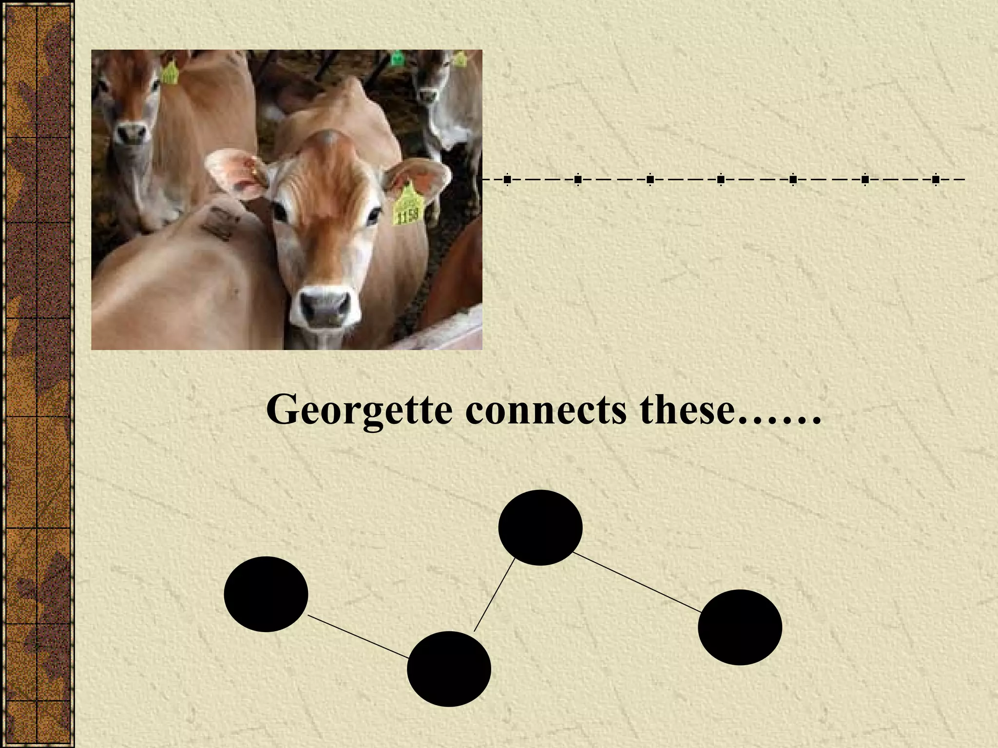 Georgette connects these……