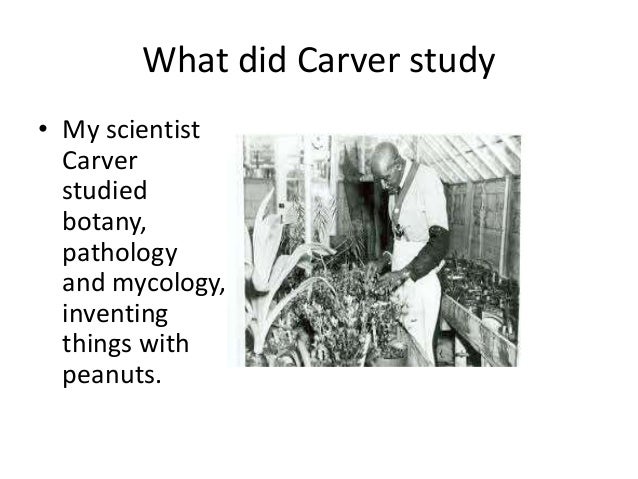 What Did Carver Study? : George Washington Carver (1864 – ELFOH