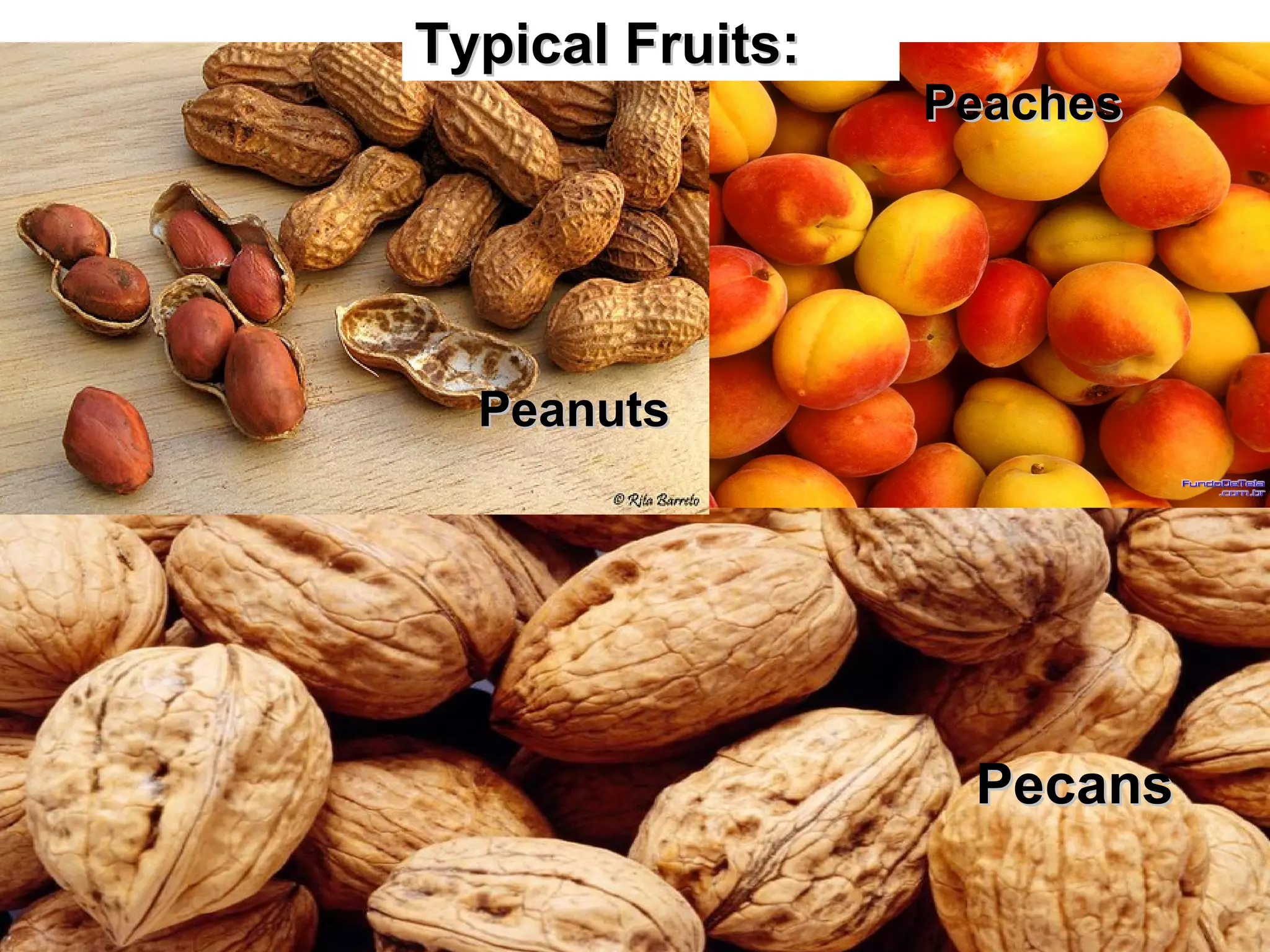 Typical Fruits:
Peaches
Peanuts
Pecans