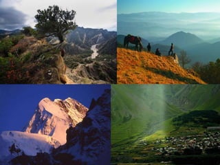 Georgia/საქართველო