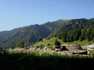 Georgia/საქართველო