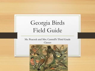 Georgia Birds
Field Guide
Ms. Peacock and Mrs. Cantrell’s Third Grade
Classes
 