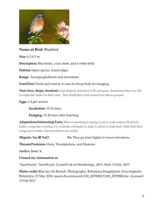 6
Name of Bird: Bluebird
Size: 6.3-8.3 in.
Description: Blue body, a tan chest, and a white belly
Habitat: Open spaces, forest edges
Range: Georgia piedmont and mountains
Food/Diet: Fruits and insects, it uses its sharp beak for foraging.
Nest (size, shape, location): Cup-shaped, and lined with soft grass. Sometimes they use old
woodpecker holes for their nest. They build their nest several feet above ground.
Eggs: 1-4 per season
Incubation: 12-14 days
Fledging: 15-20 days after hatching
Adaptations/Interesting Facts: When something is trying to eat it, male eastern bluebirds
make a song-like warning cry, a female will begin to sing, to attract a male back. Both flick their
wings and warble when predators are nearby.
Migrate: Yes ☒ No☐ To: They go from higher to lower elevations
Threats/Predators: Owls, Woodpeckers, and Humans
Author: Isaac S.
I found my information at:
"NestWatch." NestWatch. Cornell Lab of Ornithology, 2011. Web. 13 Feb. 2017.
Photo credit: Blue Jay On Branch. Photography. Britannica ImageQuest, Encyclopædia
Britannica, 25 May 2016. quest.eb.com/search/149_2078982/1/149_2078982/cite. Accessed
15 Feb 2017.
 