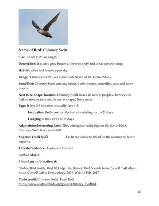 10
Name of Bird: Chimney Swift
Size: 13 cm (5.25) in length
Description: it is dark gray brown all over its body and it has curved wings
Habitat: cities and towns, open sky.
Range: Chimney Swift lives in the Eastern half of the United States
Food/Diet: Chimney Swift eats any insect. It eats worms, butterflies, ants and more
insects.
Nest (size, shape, location: Chimney Swift makes its nest in peoples chimneys, in
hallow trees or in caves. Its nest is shaped like a circle.
Eggs: It lays 3-6 at a time it usually lays 4-5.
Incubation: Both parents take turns incubating for 19-21 days
Fledging: It flies away in 15 days
Adaptations/Interesting Facts: They can appear really high in the sky in black.
Chimney Swift has a small bill.
Migrate: Yes ☒ No☐ To: In the winter to Brazil, in the summer to North
America
Threats/Predators: Hawks and Falcons
Author: Mayra
I found my information at:
"Online Bird Guide, Bird ID Help, Life History, Bird Sounds from Cornell." All About
Birds. Cornell Lab of Ornithology, 2017. Web. 13 Feb. 2017.
Photo credit: Chimney Swift. Euan Reid.
https://www.allaboutbirds.org/guide/Chimney_Swift/id
 