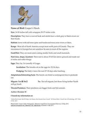 12
Name of Bird: Cooper’s Hawk
Size: 14-20 inches tall with wingspan 29-37 inches wide.
Description: They have a curved beak and adults have a dark gray to black crown on
their heads.
Habitat: forest with tall trees (pine and hardwood trees) near rivers or lakes.
Range: Most all of North America except most north parts of Canada. They are
uncommon in Georgia but can somehow be seen in most all the regions.
Food/Diet: They are meat-eaters eating smaller birds and small mammals.
Nest (size, shape, location): Their nest is about 35-45 feet above ground and made out
of sticks and softer things.
Eggs: They lay 3-6 (usually 4-5) eggs.
Incubation: The females sit on the eggs for 32-36 days.
Fledging: The baby’s leave the nest 27-32 days after hatching.
Adaptations/Interesting Facts: The hawks are listed as endangered due to pesticide
use.
Migrate: Yes ☒ No☐ To: Not all migrate, but those living farther North
will go South
Threats/Predators: Their predators are bigger birds and bid animals.
Author: Brendan W
I found my information at:
"Online Bird Guide, Bird ID Help, Life History, Bird Sounds from Cornell." All About Birds. Cornell Lab of Ornithology, 2017. Web.
13 Feb. 2017.
Photo Credit: Cooper's Hawk. Photography. Britannica ImageQuest, Encyclopædia Britannica, 25 May 2016.
quest.eb.com/search/139_1998140/1/139_1998140/cite. Accessed 17 Mar 2017.
 