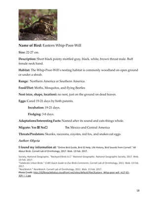 18
Name of Bird: Eastern Whip-Poor-Will
Size: 22-27 cm.
Description: Short black pointy mottled gray, black, white, brown throat male. Buff
female neck band.
Habitat: The Whip-Poor-Will’s nesting habitat is commonly woodland on open ground
or under a shrub.
Range: Northern America or Southern America.
Food/Diet: Moths, Mosquitos, and flying Beetles
Nest (size, shape, location): no nest, just on the ground on dead leaves.
Eggs: Cared 19-21 days by both parents.
Incubation: 19-21 days.
Fledging: 3-8 days.
Adaptations/Interesting Facts: Named after its sound and eats things whole.
Migrate: Yes ☒ No☐ To: Mexico and Central America
Threats/Predators: Skunks, raccoons, coyotes, red fox, and snakes eat eggs.
Author: Olyvia
I found my information at: "Online Bird Guide, Bird ID Help, Life History, Bird Sounds from Cornell." All
About Birds. Cornell Lab of Ornithology, 2017. Web. 13 Feb. 2017.
Society, National Geographic. “Backyard Birds A-Z.” National Geographic. National Geographic Society, 2017. Web.
13 Feb. 2017.
“Celebrate Urban Birds.” CUBS Quick Guide to Our Birds Comments. Cornell Lab of Ornithology, 2011. Web. 13 Feb.
2017.
“NestWatch.” NestWatch. Cornell Lab of Ornithology, 2011. Web. 13 Feb. 2017.
Photo Credit: http://d2fbmjy3x0sdua.cloudfront.net/sites/default/files/Eastern_Whip-poor-will_m17-65-
324_l_1.jpg
 