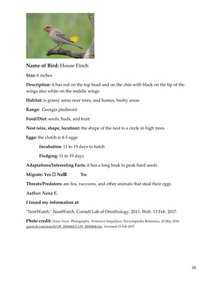 20
Name of Bird: House Finch
Size: 6 inches
Description: it has red on the top head and on the chin with black on the tip of the
wings also white on the middle wings
Habitat: is grassy areas near trees, and homes, bushy areas
Range: Georgia piedmont
Food/Diet: seeds, buds, and fruit
Nest (size, shape, location): the shape of the nest is a circle in high trees
Eggs: the clutch is 4-5 eggs
Incubation: 11 to 19 days to hatch
Fledging: 11 to 19 days
Adaptations/Interesting Facts: it has a long beak to peak hard seeds
Migrate: Yes ☐ No☒ To:
Threats/Predators: are fox, raccoons, and other animals that steal their eggs
Author: Nana E.
I found my information at:
"NestWatch." NestWatch. Cornell Lab of Ornithology, 2011. Web. 13 Feb. 2017.
Photo credit: House Finch. Photography. Britannica ImageQuest, Encyclopædia Britannica, 25 May 2016.
quest.eb.com/search/139_2004464/1/139_2004464/cite. Accessed 15 Feb 2017.
 