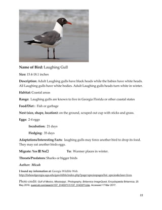 22
Name of Bird: Laughing Gull
Size: 15.4-18.1 inches
Description: Adult Laughing gulls have black heads while the babies have white heads.
All Laughing gulls have white bodies. Adult Laughing gulls heads turn white in winter.
Habitat: Coastal areas
Range: Laughing gulls are known to live in Georgia Florida or other coastal states
Food/Diet : Fish or garbage
Nest (size, shape, location): on the ground, scraped out cup with sticks and grass.
Eggs: 2-4 eggs
Incubation: 21 days
Fledging: 35 days
Adaptations/Interesting Facts: laughing gulls may force another bird to drop its food.
They may eat another birds eggs.
Migrate: Yes ☒ No☐ To: Warmer places in winter.
Threats/Predators: Sharks or bigger birds
Author: Micah
I found my information at: Georgia Wildlife Web.
http://fishesofgeorgia.uga.edu/gawildlife/index.php?page=speciespages/list_species&class=Aves
Photo credit: Gulf of Mexico, Mississippi.. Photography. Britannica ImageQuest, Encyclopædia Britannica, 25
May 2016. quest.eb.com/search/137_3143371/1/137_3143371/cite. Accessed 17 Mar 2017.
 