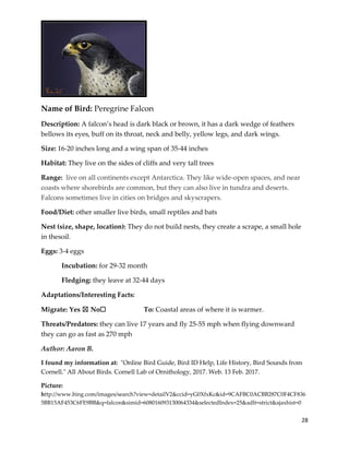 28
Name of Bird: Peregrine Falcon
Description: A falcon’s head is dark black or brown, it has a dark wedge of feathers
bellows its eyes, buff on its throat, neck and belly, yellow legs, and dark wings.
Size: 16-20 inches long and a wing span of 35-44 inches
Habitat: They live on the sides of cliffs and very tall trees
Range: live on all continents except Antarctica. They like wide-open spaces, and near
coasts where shorebirds are common, but they can also live in tundra and deserts.
Falcons sometimes live in cities on bridges and skyscrapers.
Food/Diet: other smaller live birds, small reptiles and bats
Nest (size, shape, location): They do not build nests, they create a scrape, a small hole
in thesoil.
Eggs: 3-4 eggs
Incubation: for 29-32 month
Fledging: they leave at 32-44 days
Adaptations/Interesting Facts:
Migrate: Yes ☒ No☐ To: Coastal areas of where it is warmer.
Threats/Predators: they can live 17 years and fly 25-55 mph when flying downward
they can go as fast as 270 mph
Author: Aaron B.
I found my information at: "Online Bird Guide, Bird ID Help, Life History, Bird Sounds from
Cornell." All About Birds. Cornell Lab of Ornithology, 2017. Web. 13 Feb. 2017.
Picture:
http://www.bing.com/images/search?view=detailV2&ccid=yG0XfxKc&id=9CAFBC0ACBB287C0F4CF836
5BB15AF453C6FE9BB&q=falcon&simid=608016093130064334&selectedIndex=25&adlt=strict&ajaxhist=0
 