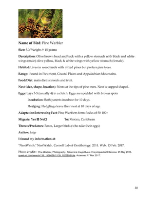 30
Name of Bird: Pine Warbler
Size: 5.3”Weighs 9-15 grams
Description: Olive brown head and back with a yellow stomach with black and white
wings (male) olive yellow, black & white wings with yellow stomach (female).
Habitat: Lives in woodlands with mixed pines but prefers pine trees.
Range: Found in Piedmont, Coastal Plains and Appalachian Mountains.
Food/Diet: main diet is insects and fruit.
Nest (size, shape, location): Nests at the tips of pine trees. Nest is cupped shaped.
Eggs: Lays 3-5 (usually 4) in a clutch. Eggs are speckled with brown spots
Incubation: Both parents incubate for 10 days.
Fledging: Fledglings leave their nest at 10 days of age
Adaptation/Interesting Fact: Pine Warblers form flocks of 50-100+
Migrate: Yes ☒ No☐ To: Mexico, Caribbean
Threats/Predators: Foxes, Larger birds (who take their eggs)
Author: Saige
I found my information at:
"NestWatch." NestWatch. Cornell Lab of Ornithology, 2011. Web. 13 Feb. 2017.
Photo credit: : Pine Warbler. Photography. Britannica ImageQuest, Encyclopædia Britannica, 25 May 2016.
quest.eb.com/search/139_1926658/1/139_1926658/cite. Accessed 17 Mar 2017.
 