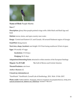 32
Name of Bird: Purple Martin
Size: 8’’
Description: glossy blue-purple pointed wings with a little black and black legs and
beak
Habitat: towns, farms, and open country near water.
Range: Central and Eastern U.S. and Canada. All around Piedmont region of Georgia
Food/Diet: flying insects
Nest (size, shape, location): nest height: 10-15 feet facing southwest 10 feet of space
Eggs: 3-8 usually 4-5 eggs
Incubation: 15-18 days
Fledging: 26-31 days
Adaptations/Interesting Facts: attracted to white enemies of the European Starlings
Migrate: Yes ☒ No☒ To: Gulf of Mexico and Central America
Threats/Predators: cats foxes
Author: Shannon .G.
I found my information at:
"NestWatch." NestWatch. Cornell Lab of Ornithology, 2011. Web. 13 Feb. 2017.
Photo credit: PURPLE MARTIN . Photography. Britannica ImageQuest, Encyclopædia Britannica, 25 May 2016.
quest.eb.com/search/138_1065879/1/138_1065879/cite. Accessed 17 Mar 2017.
 