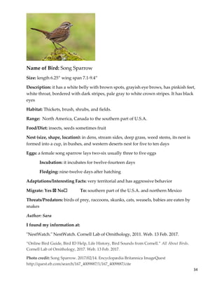 34
Name of Bird: Song Sparrow
Size: length 6.25” wing span 7.1-9.4”
Description: it has a white belly with brown spots, grayish eye brows, has pinkish feet,
white throat, bordered with dark stripes, pale gray to white crown stripes. It has black
eyes
Habitat: Thickets, brush, shrubs, and fields.
Range: North America, Canada to the southern part of U.S.A.
Food/Diet: insects, seeds sometimes fruit
Nest (size, shape, location): in dens, stream sides, deep grass, weed stems, its nest is
formed into a cup, in bushes, and western deserts nest for five to ten days
Eggs: a female song sparrow lays two-six usually three to five eggs
Incubation: it incubates for twelve-fourteen days
Fledging: nine-twelve days after hatching
Adaptations/Interesting Facts: very territorial and has aggressive behavior
Migrate: Yes ☒ No☐ To: southern part of the U.S.A. and northern Mexico
Threats/Predators: birds of prey, raccoons, skunks, cats, weasels, babies are eaten by
snakes
Author: Sara
I found my information at:
"NestWatch." NestWatch. Cornell Lab of Ornithology, 2011. Web. 13 Feb. 2017.
“Online Bird Guide, Bird ID Help, Life History, Bird Sounds from Cornell.” All About Birds.
Cornell Lab of Ornithology, 2017. Web. 13 Feb. 2017.
Photo credit: Song Sparrow. 2017/02/14. Encyclopædia Britannica ImageQuest
http://quest.eb.com/search/167_4009887/1/167_4009887/cite
 
