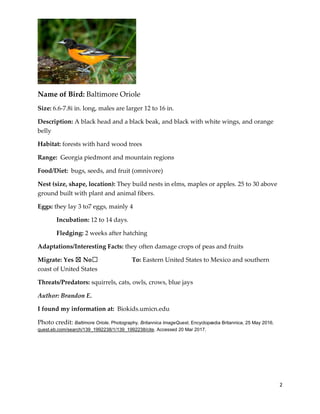 2
Name of Bird: Baltimore Oriole
Size: 6.6-7.8i in. long, males are larger 12 to 16 in.
Description: A black head and a black beak, and black with white wings, and orange
belly
Habitat: forests with hard wood trees
Range: Georgia piedmont and mountain regions
Food/Diet: bugs, seeds, and fruit (omnivore)
Nest (size, shape, location): They build nests in elms, maples or apples. 25 to 30 above
ground built with plant and animal fibers.
Eggs: they lay 3 to7 eggs, mainly 4
Incubation: 12 to 14 days.
Fledging: 2 weeks after hatching
Adaptations/Interesting Facts: they often damage crops of peas and fruits
Migrate: Yes ☒ No☐ To: Eastern United States to Mexico and southern
coast of United States
Threats/Predators: squirrels, cats, owls, crows, blue jays
Author: Brandon E.
I found my information at: Biokids.umicn.edu
Photo credit: Baltimore Oriole. Photography. Britannica ImageQuest, Encyclopædia Britannica, 25 May 2016.
quest.eb.com/search/139_1992238/1/139_1992238/cite. Accessed 20 Mar 2017.
 