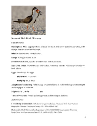 4
Name of Bird: Black Skimmer
Size: 18 inches.
Description: Most upper portions of body are black and lower portions are white, with
orange feet and bill with black tip.
Habitat: Beaches and sandy islands.
Range: Georgia coastal plain
Food/Diet: Eats fish, aquatic invertebrates, and crustaceans.
Nest (size, shape, location): Nest on beaches and sandy islands. Nest scrape created by
both adults.
Eggs: Female lays 3-5 eggs
Incubation: 21-23 days
Fledging: 23-25 days
Adaptations/Interesting Facts: Hangs lower mandible in water to forage while in flight
and wingspan is 44 inches.
Migrate: Yes ☐ No☒ To:
Threats/Predators: People polluting water and littering on beaches.
Author: Grace
I found my information at: National Geographic Society. "Backyard Birds A-Z." National
Geographic. National Geographic Society, 2017. Web. 13 Feb. 2017.
Photo credit: Black Skimmer (Rynchops niger) with fish 2017/02/14. Encyclopædia Britannica
ImageQuest. http://quest.eb.com/search/132_1342915/1/132_1342915/cite
 