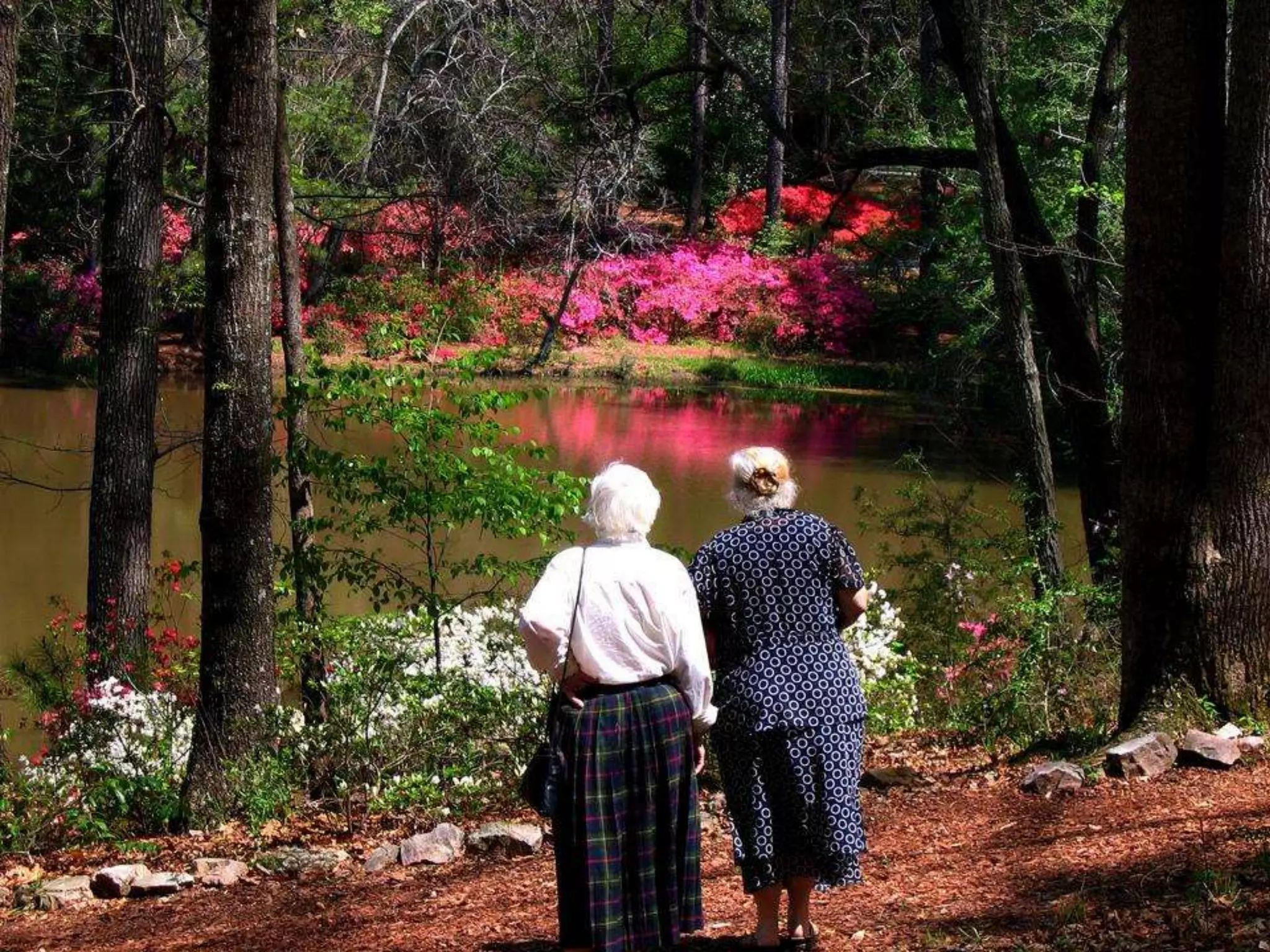 Georgia Callaway Gardens.