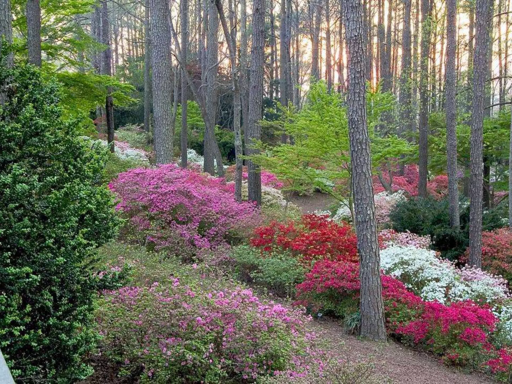 Georgia Callaway Gardens.