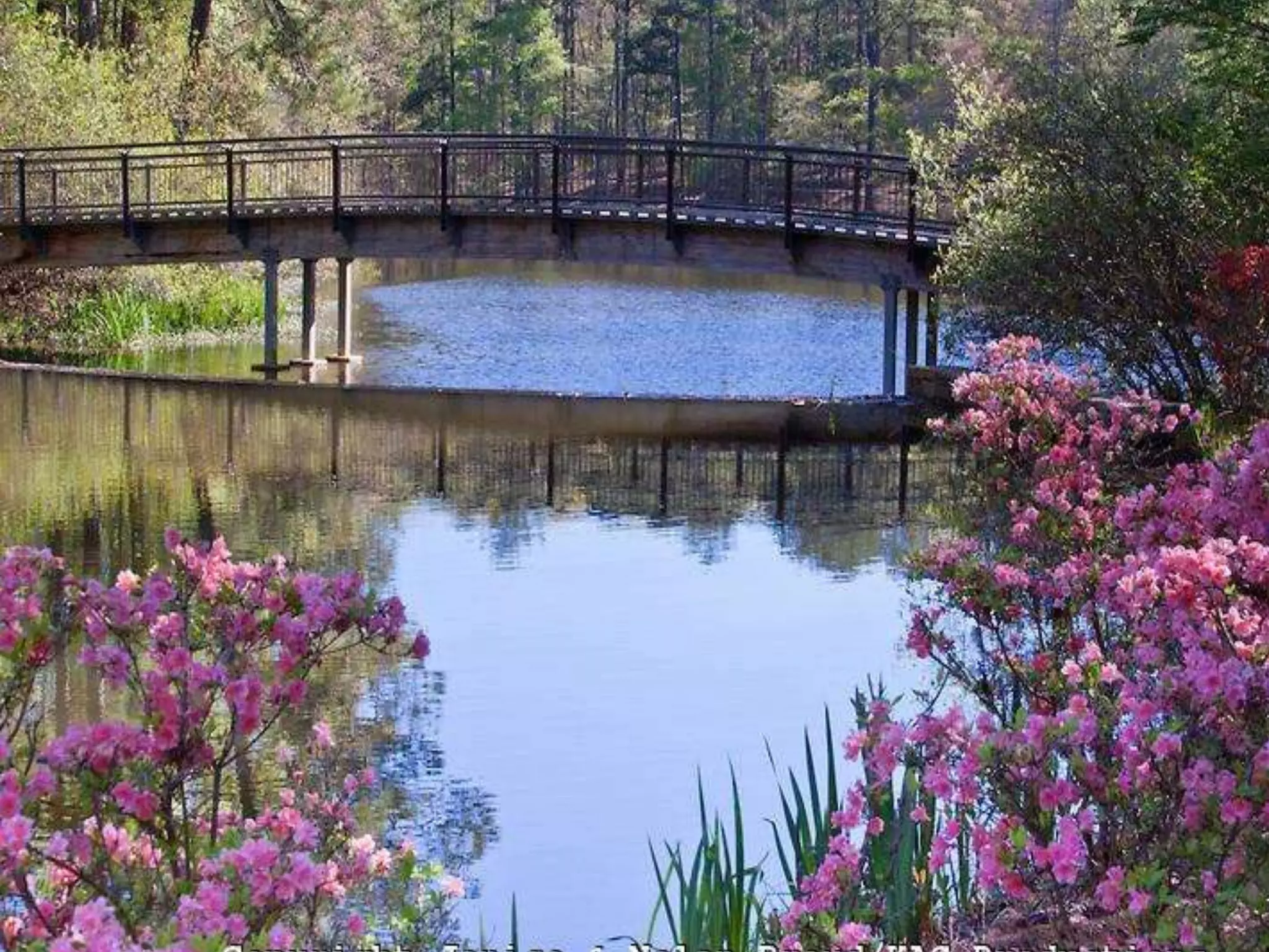 Georgia Callaway Gardens.