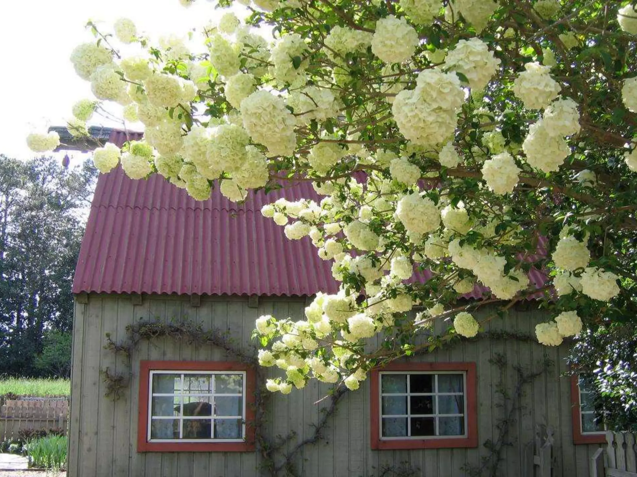 Georgia Callaway Gardens.