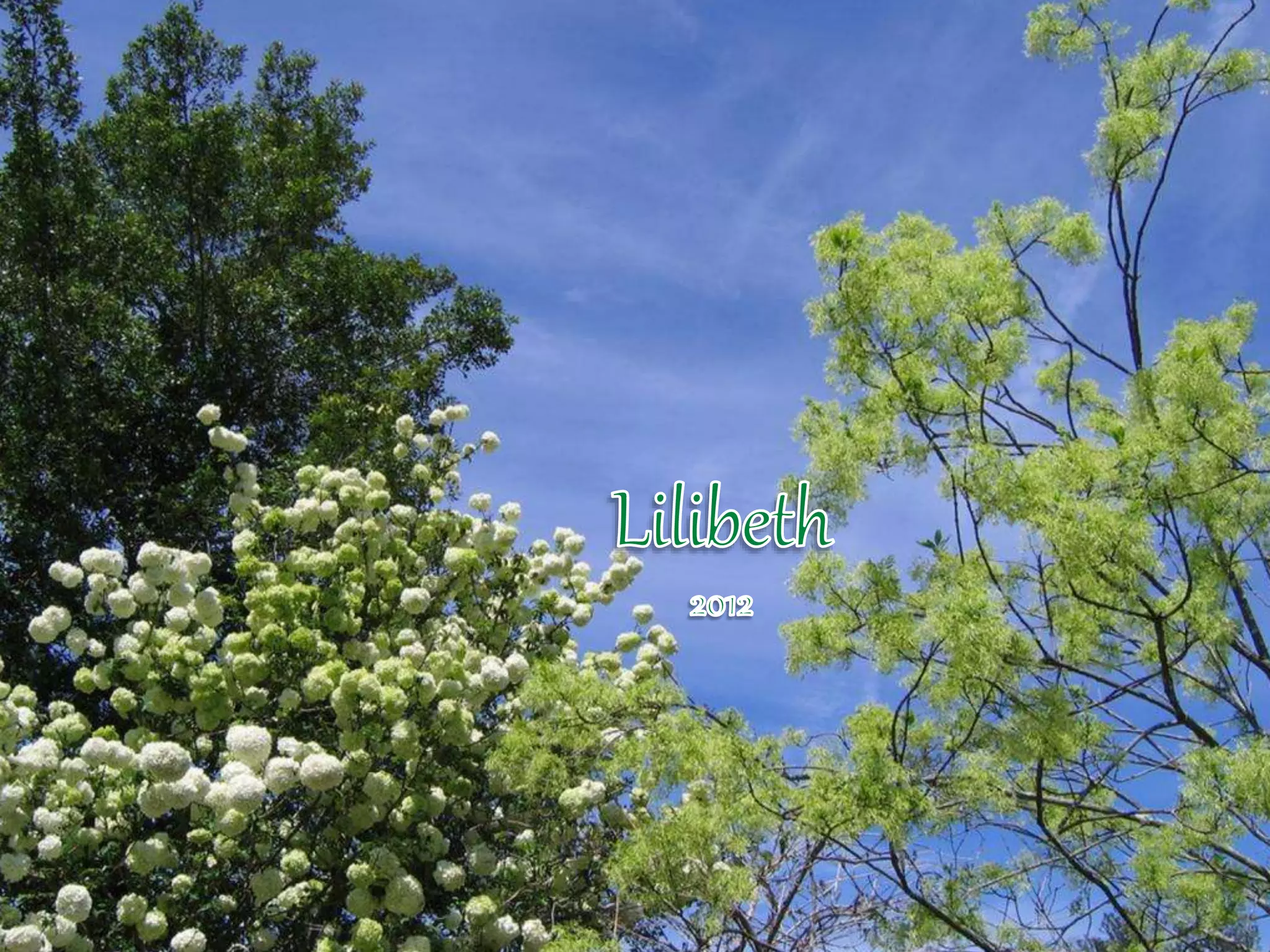 Georgia Callaway Gardens.