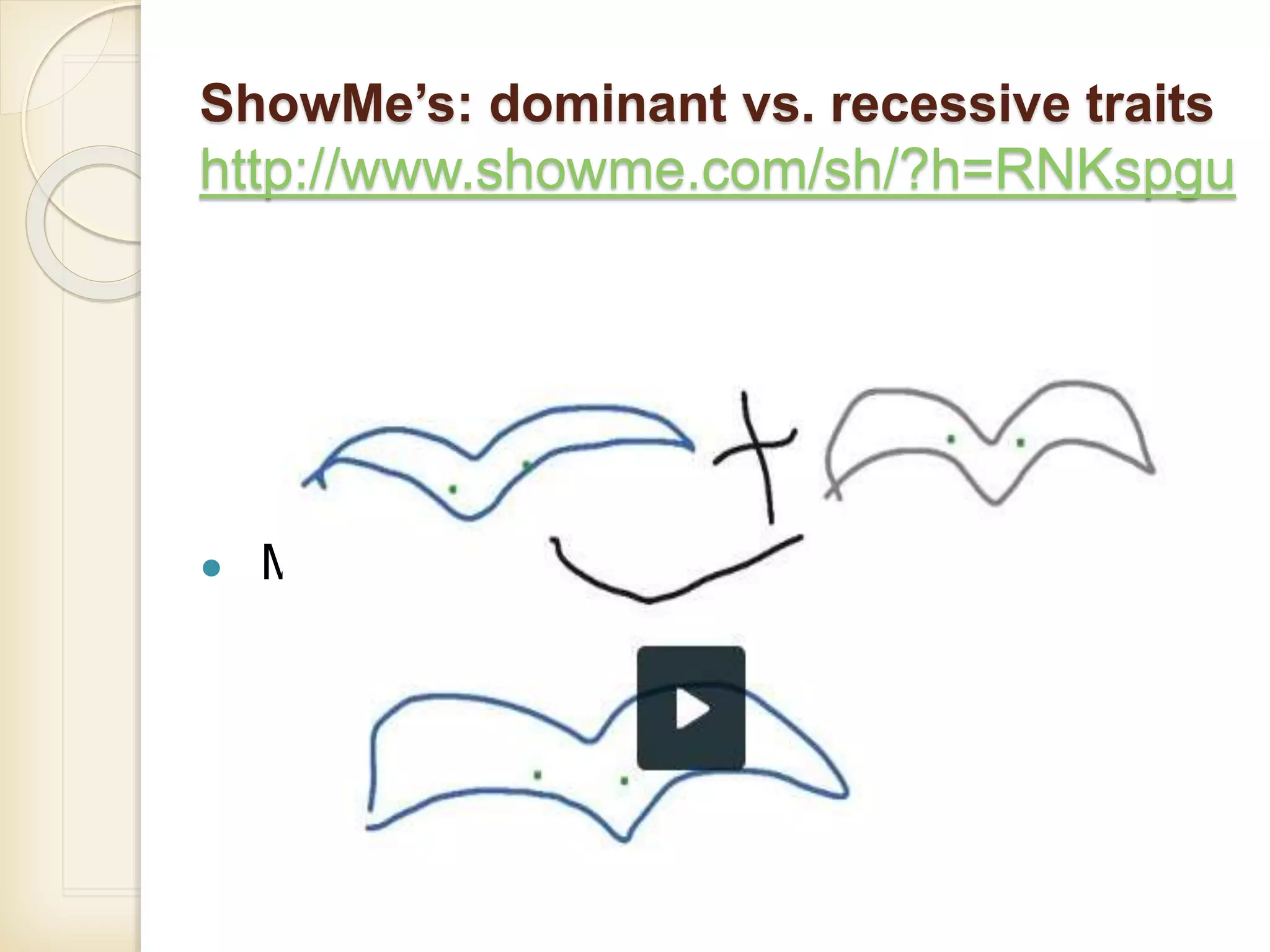 ShowMe’s: dominant vs. recessive traits
http://www.showme.com/sh/?h=RNKspgu
● Mother and father birds and baby bird
 