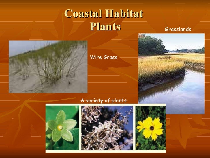 Habitats Habitats