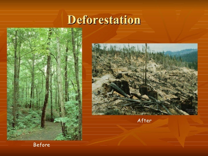 georgia habitats georgia habitats