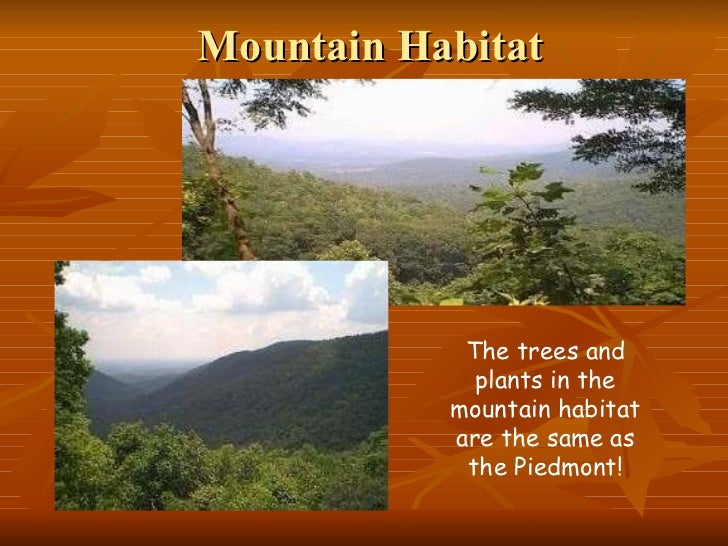 georgia habitats georgia habitats