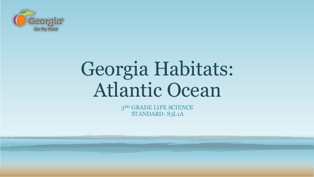 georgia habitats atlantic ocean georgia habitats