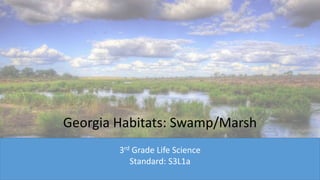 Georgia Habitats: Swamp/Marsh
3rd Grade Life Science
Standard: S3L1a
 