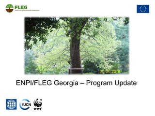 ENPI/FLEG Georgia – Program Update 