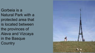 Gorbeia is a
Natural Park with a
protected area that
is located between
the provinces of
Alava and Vizcaya
in the Basque
C...