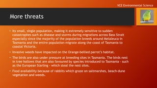 More threats
• Its small, single population, making it extremely sensitive to sudden
catastrophes such as disease and storms during migrations across Bass Strait
especially since the majority of the population breeds around Melaleuca in
Tasmania and the entire population migrate along the coast of Tasmania to
coastal Victoria.
• Invasive weeds have impacted on the Orange-bellied parrot’s habitat.
• The birds are also under pressure at breeding sites in Tasmania. The birds nest
in tree hollows that are also favoured by species introduced to Tasmania - such
as the European Starling - which steal the nest sites.
• Food availability because of rabbits which graze on saltmarshes, beach-dune
vegetation and weeds.
VCE Environmental Science
 