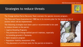 Strategies to reduce threats
The Orange-bellied Parrot Recovery Team oversees the species recovery program.
The Flora and Fauna Guarantee Act 1988 has in its recovery plan for the species a list of
actions which will be implemented.
The following strategies have been used or recommended to be used
to reduce threats to the parrot:
• Captive Breeding Programs
• The protection of Orange-bellied parrot’s habitats, especially
its breeding grounds in Tasmania.
• Mark-recapture program
• Population Viability Assessment (PVA)
• The placement of artificial nests for the parrots to breed in. Nests which have been placed for
Orange-bellied Parrots to breed
VCE Environmental Science
 